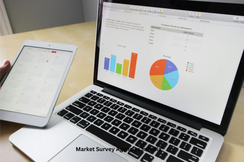 Market Survey Agencies in India